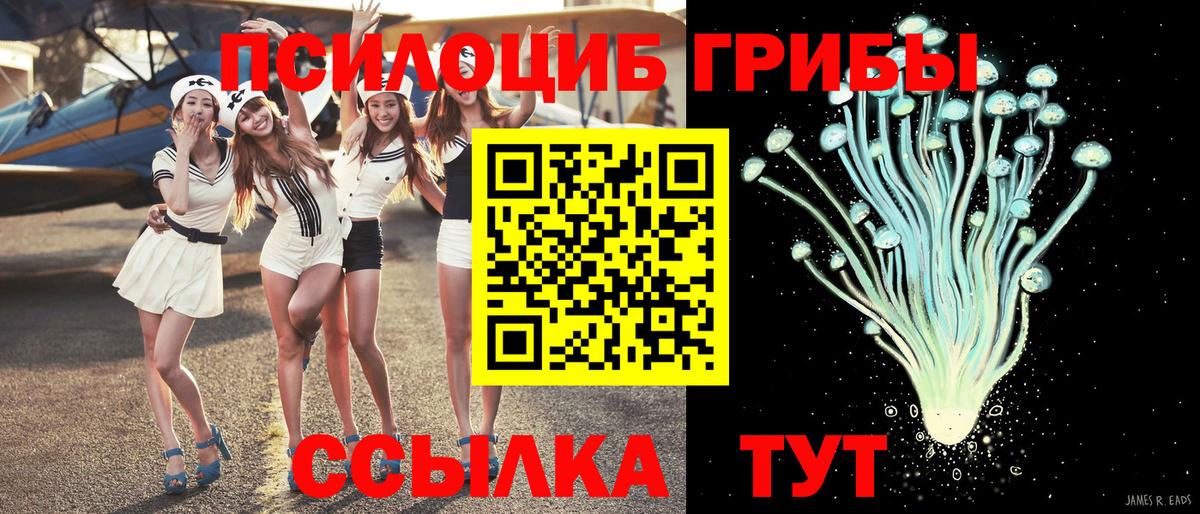 Тверь  Псилоцибиновые грибы Magic Shrooms  Вход с VPN 